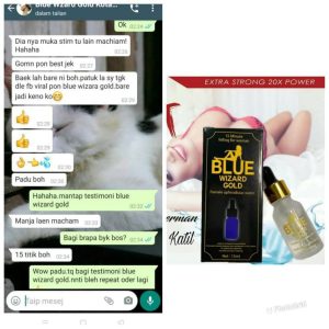 Testimoni blue wizard gold (3)